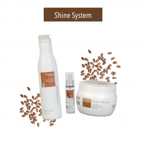 فشینلی مدل شاین