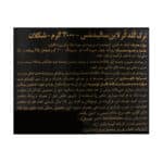 پودر سولید مس گلد کر لاین ترک نوتریشن