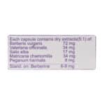 کپسول رها گل دارو