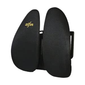 پشتی طبی حرفه ای زیفن بک